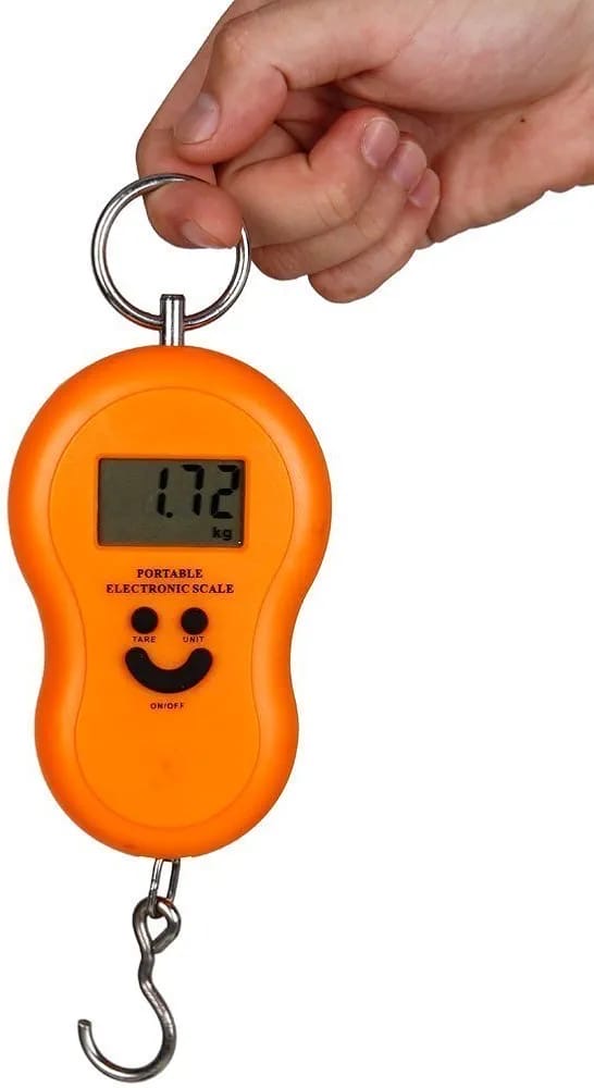 Digital Hanging Portable Electronic Scale | 2 pieces set