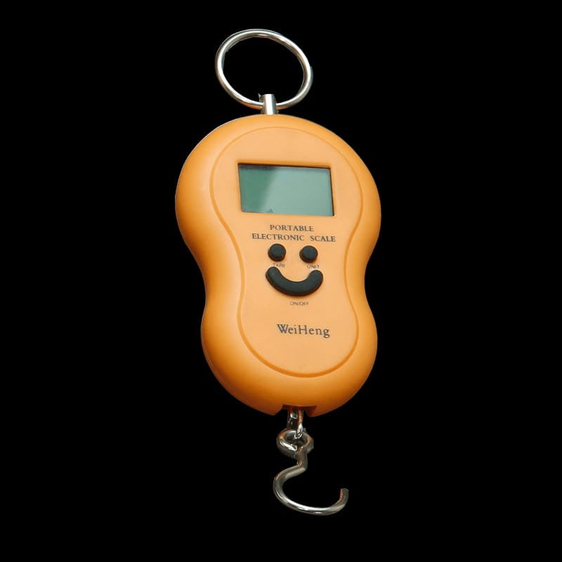 Digital Hanging Portable Electronic Scale | 2 pieces set